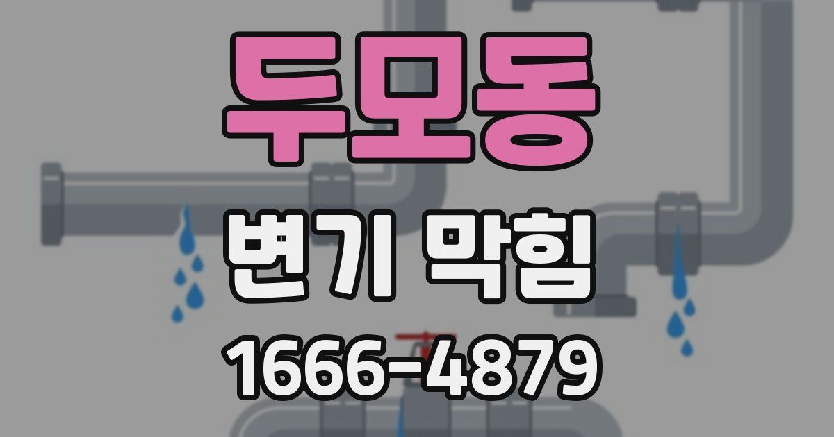 두모동 변기 막힘
