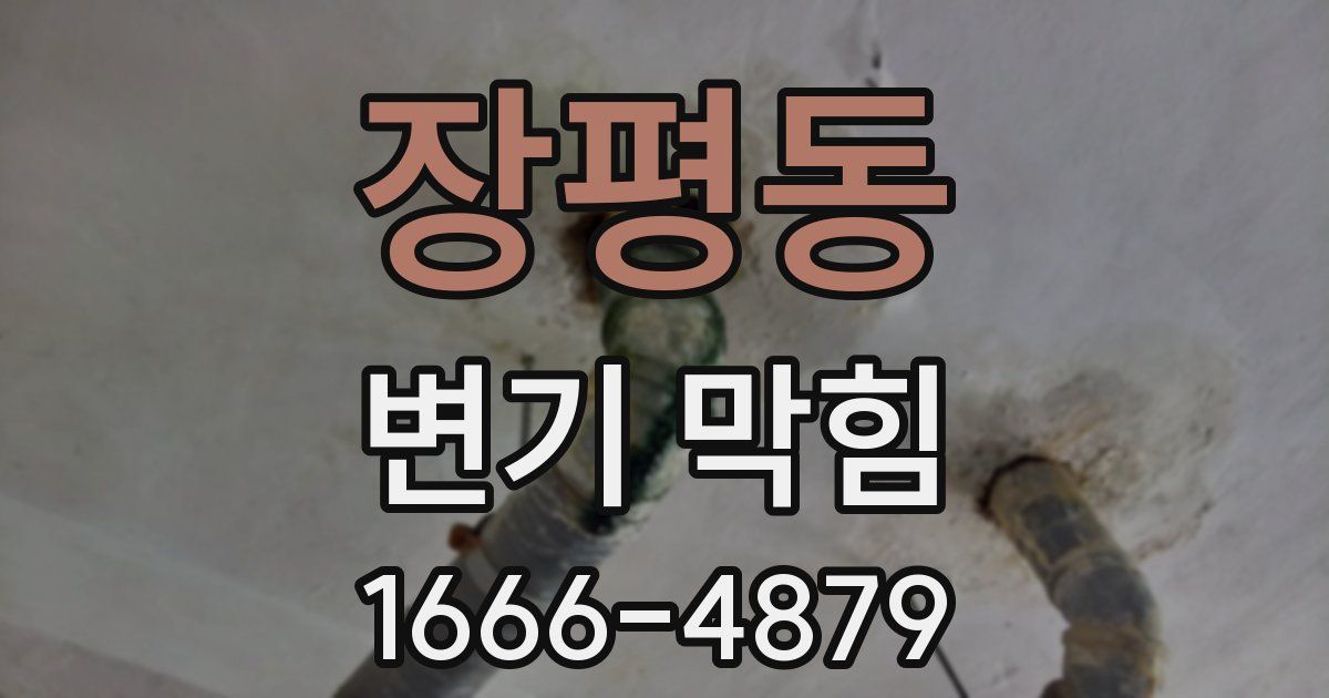 장평동 변기 막힘