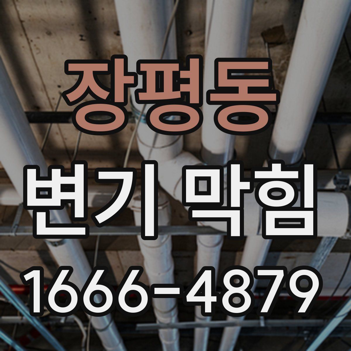 장평동 변기 막힘