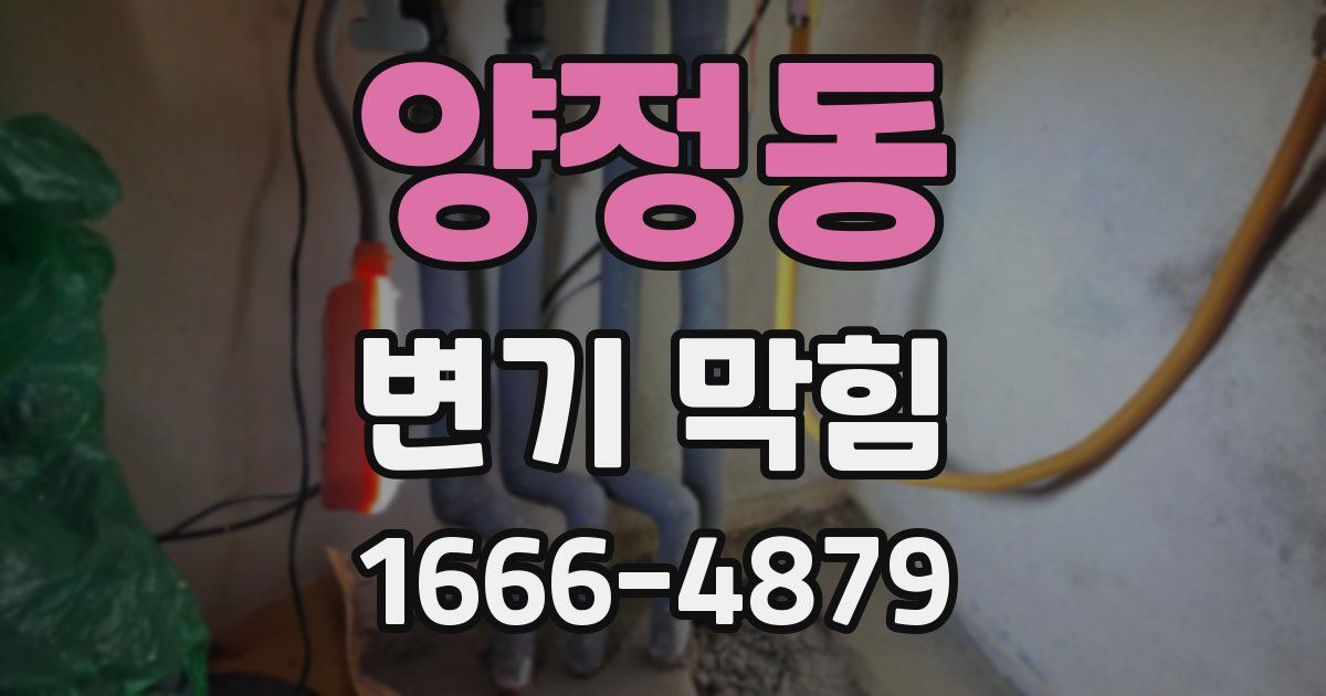 양정동 변기 막힘