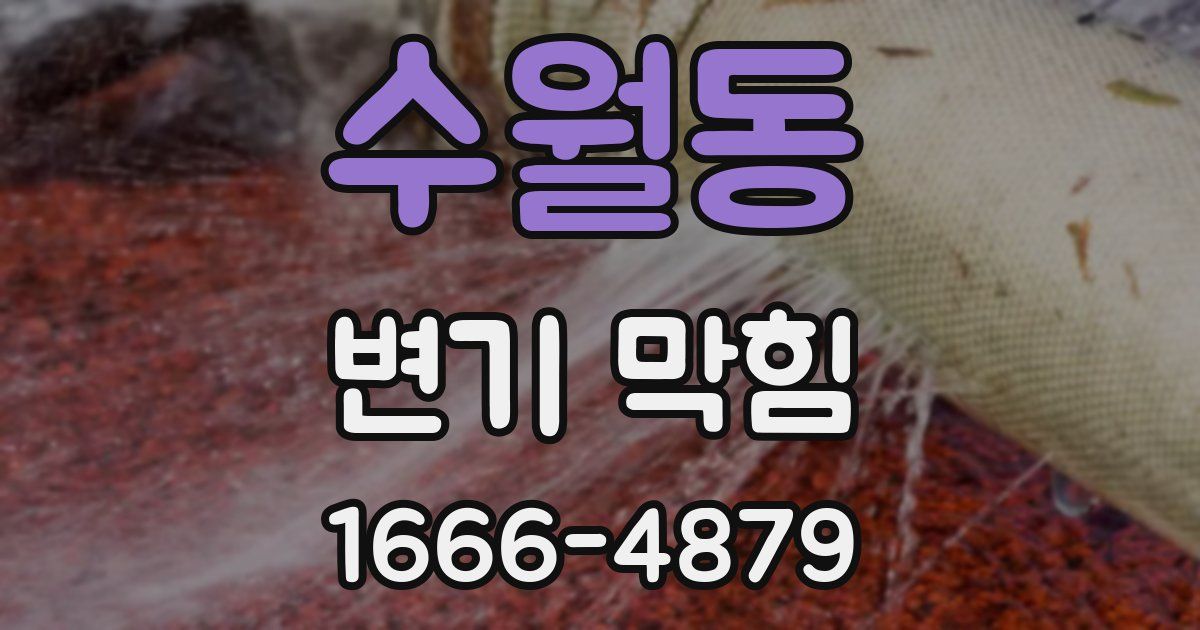 수월동 변기 막힘