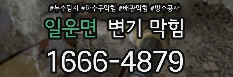 일운면 변기 막힘