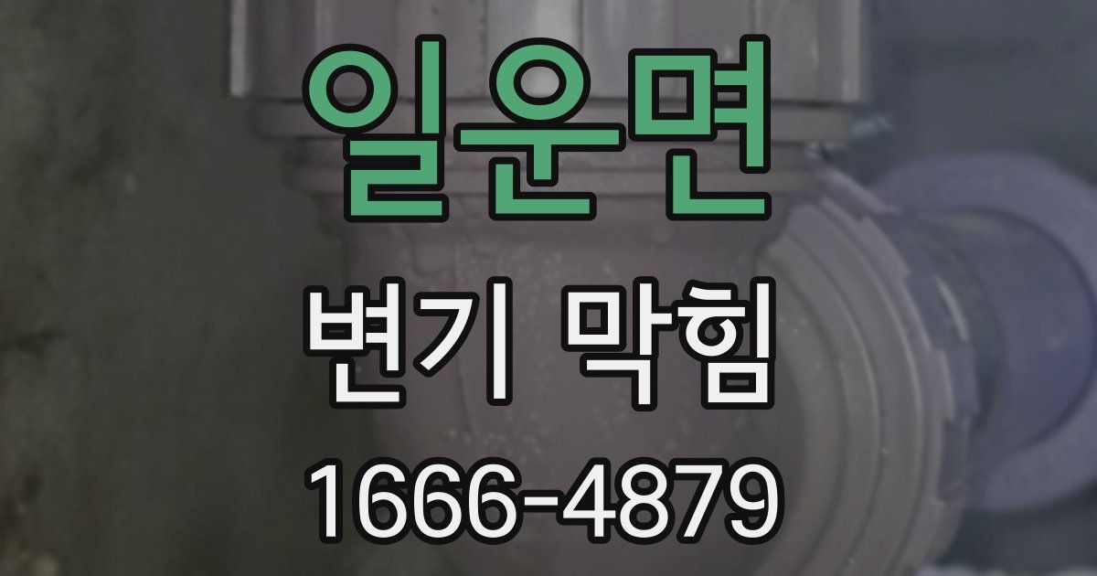일운면 변기 막힘