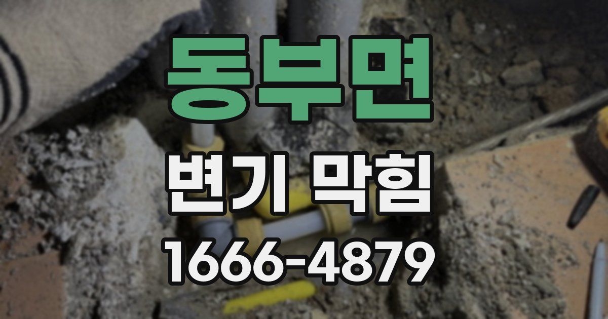 동부면 변기 막힘