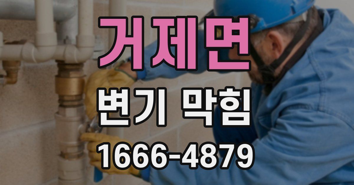 거제면 변기 막힘