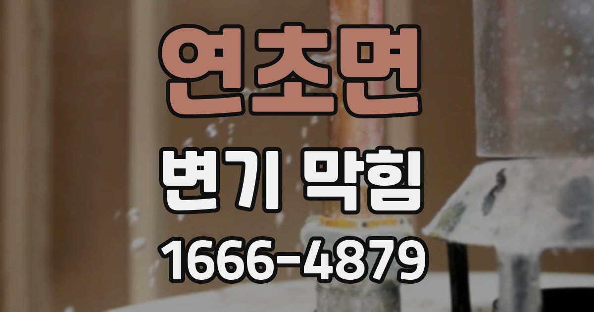 연초면 변기 막힘