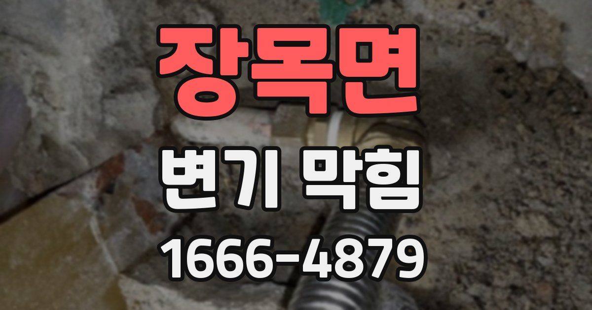 장목면 변기 막힘