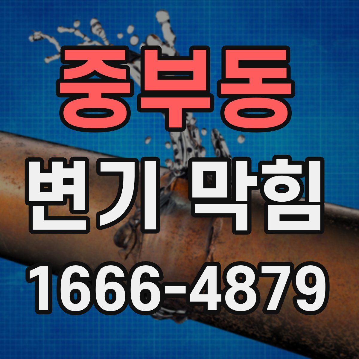 중부동 변기 막힘