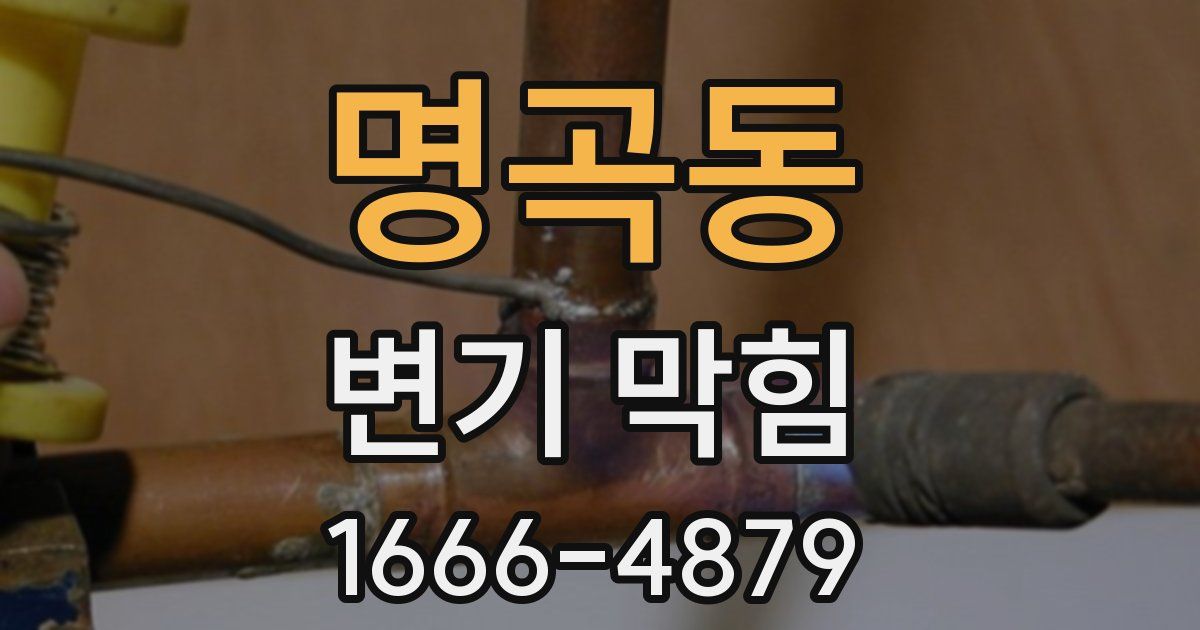 명곡동 변기 막힘