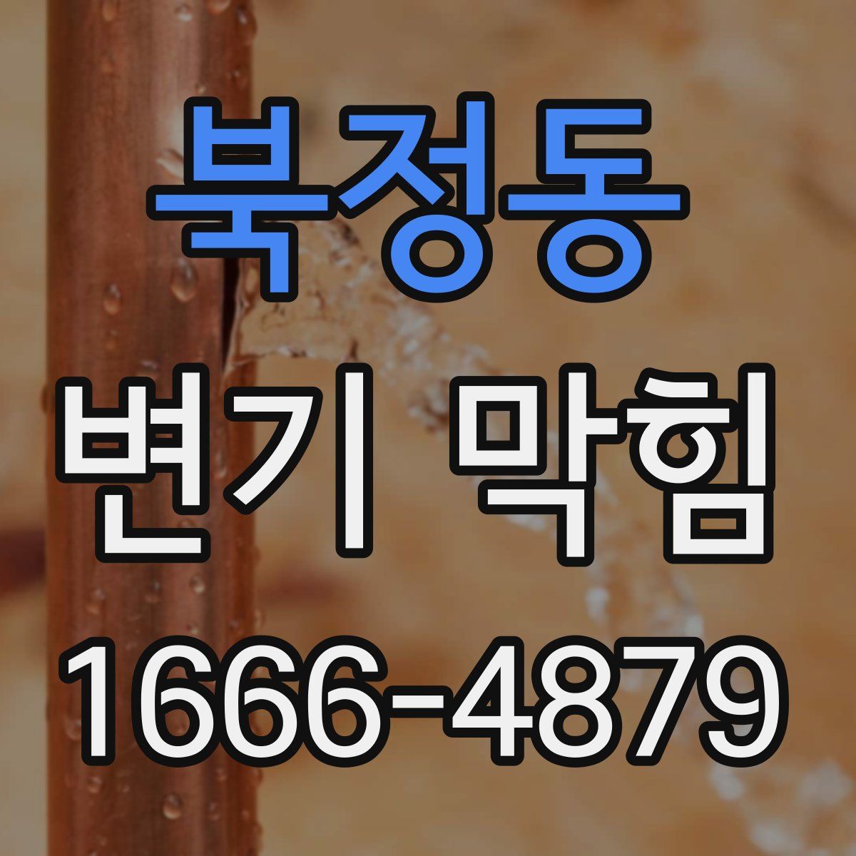 북정동 변기 막힘