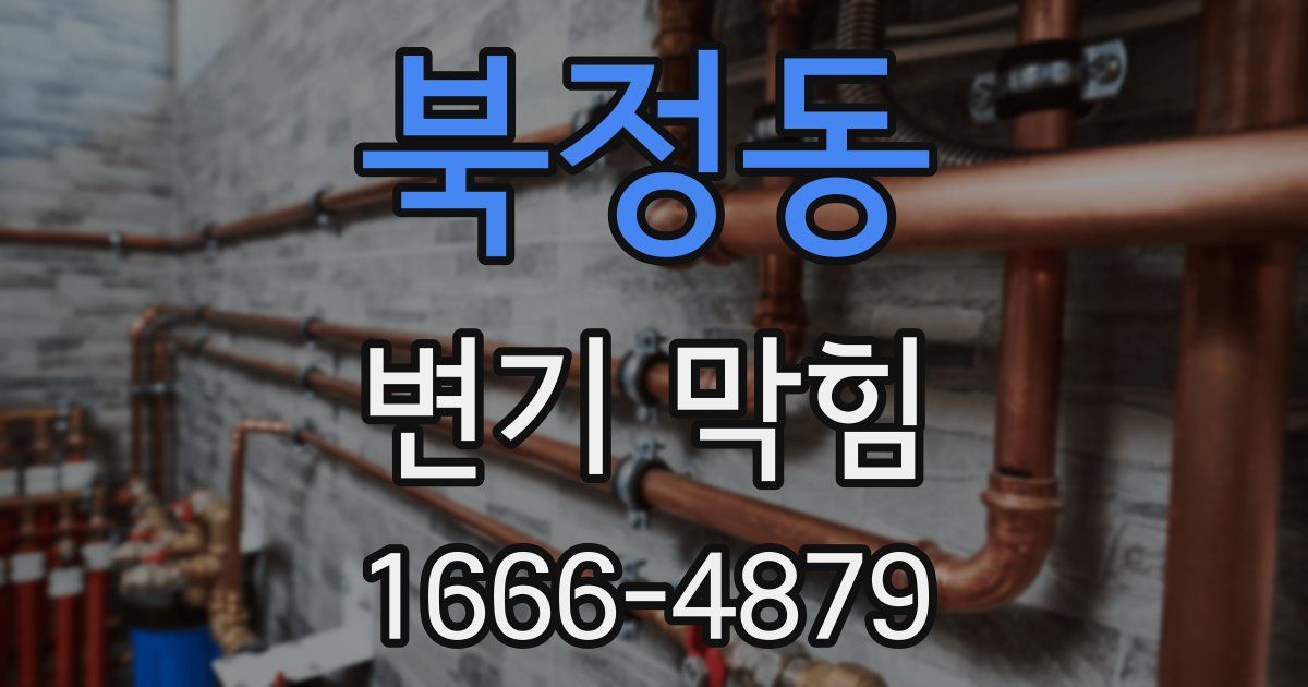 북정동 변기 막힘