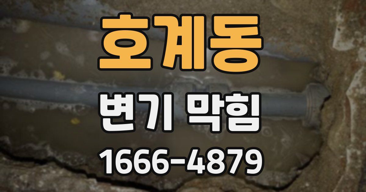 호계동 변기 막힘