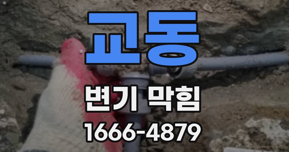 교동 변기 막힘