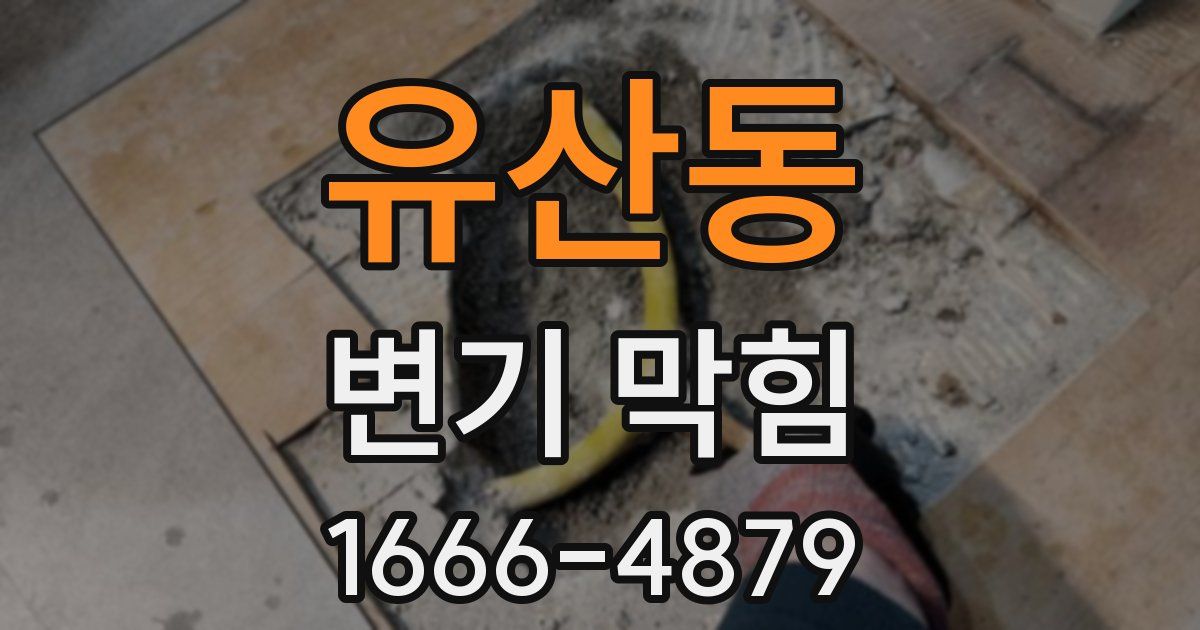 유산동 변기 막힘