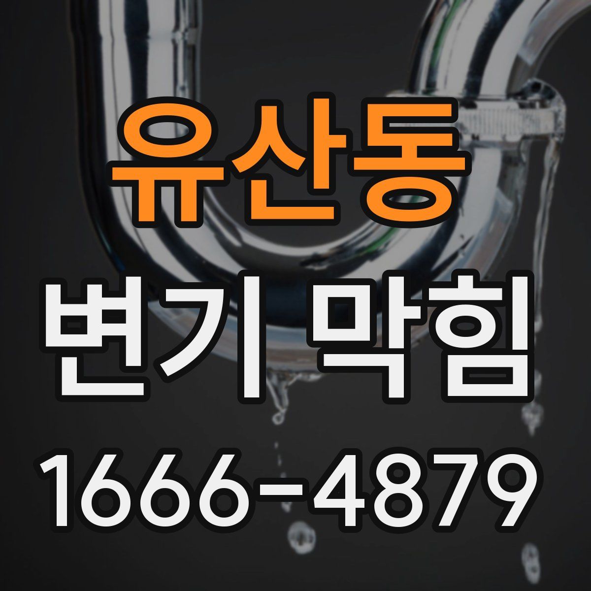 유산동 변기 막힘
