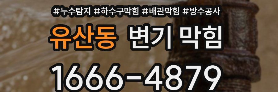 유산동 변기 막힘