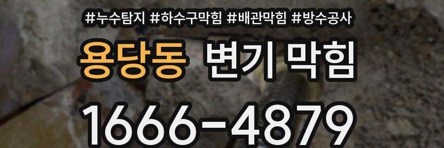 용당동 변기 막힘