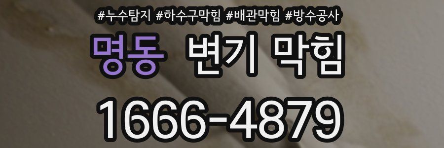명동 변기 막힘