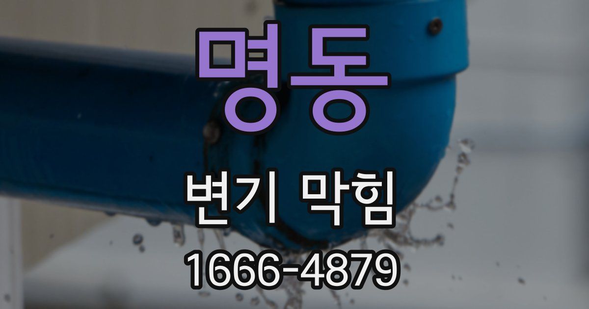 명동 변기 막힘