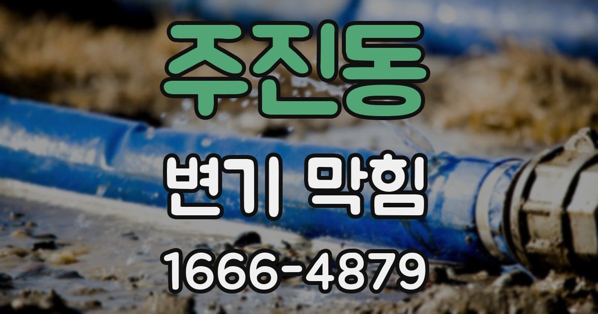 주진동 변기 막힘