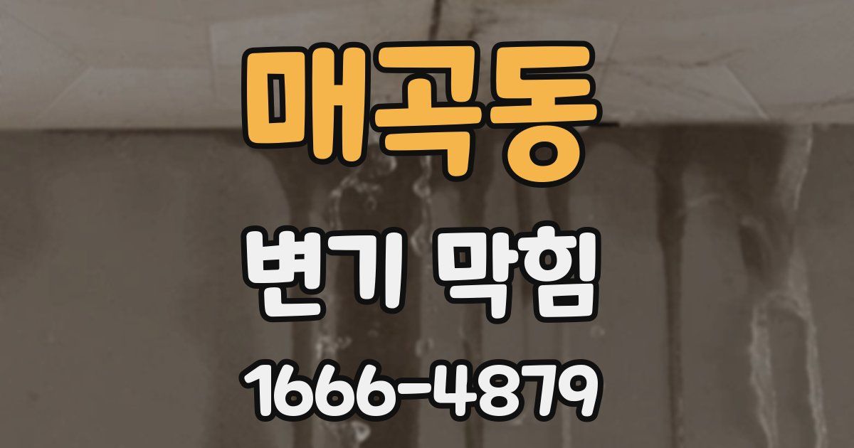 매곡동 변기 막힘