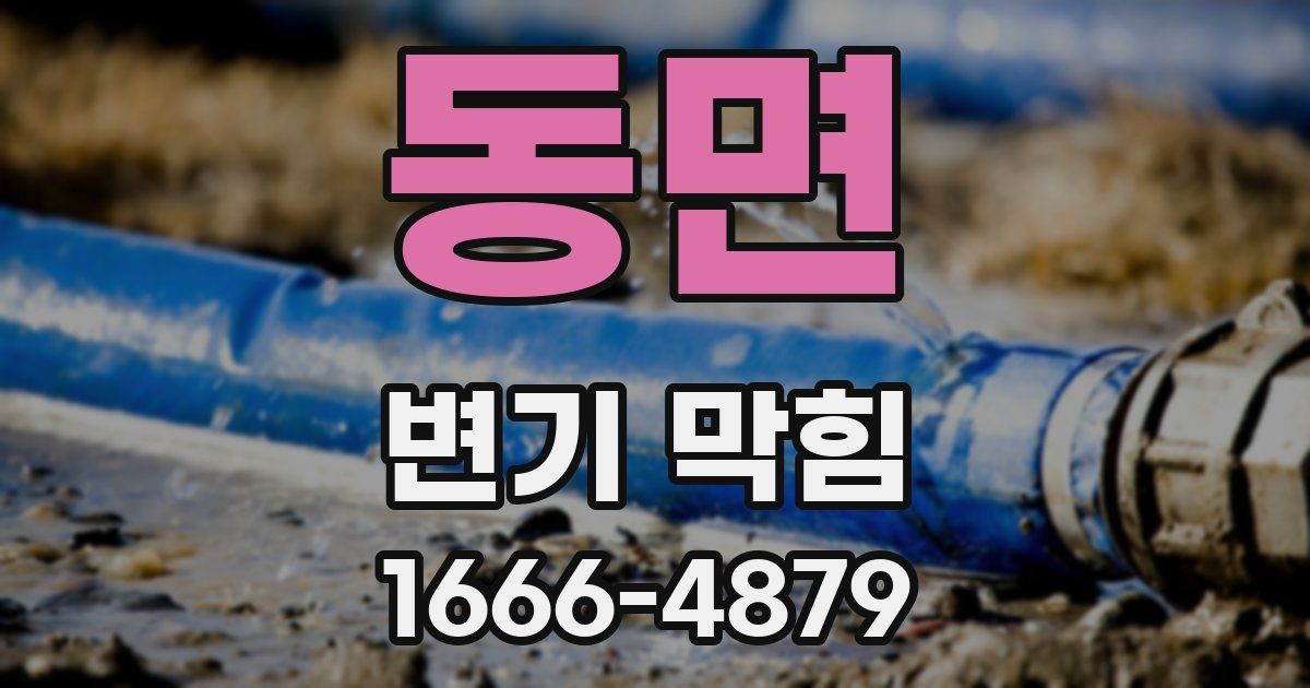 동면 변기 막힘