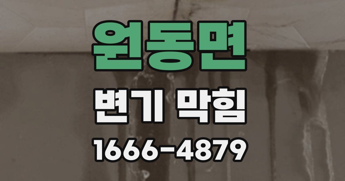 원동면 변기 막힘
