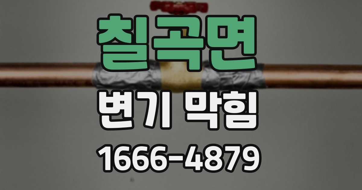 칠곡면 변기 막힘