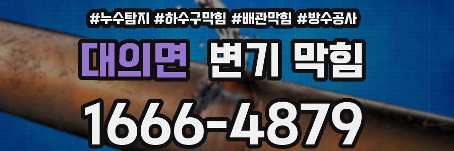 대의면 변기 막힘