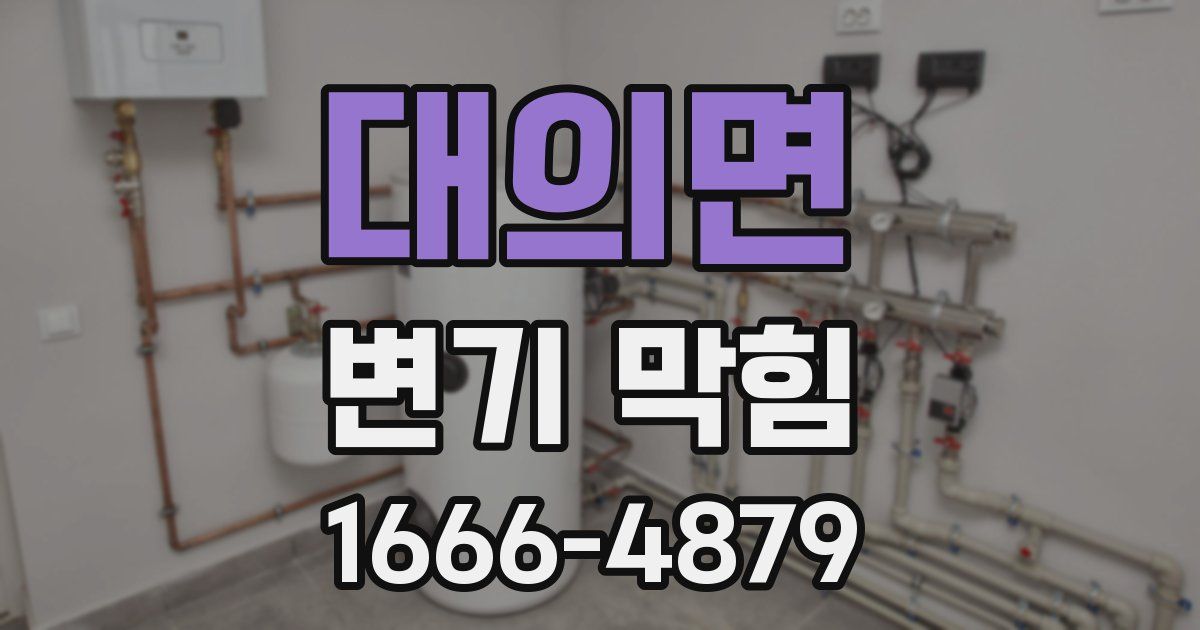대의면 변기 막힘