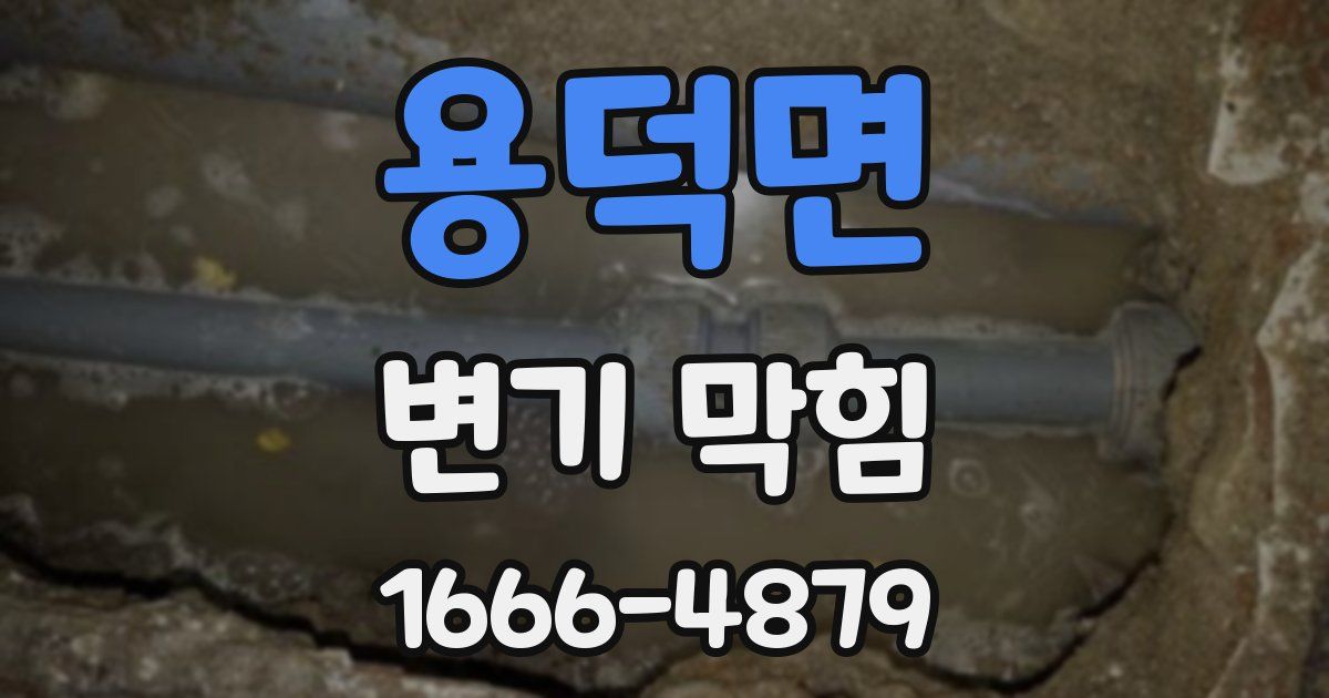 용덕면 변기 막힘