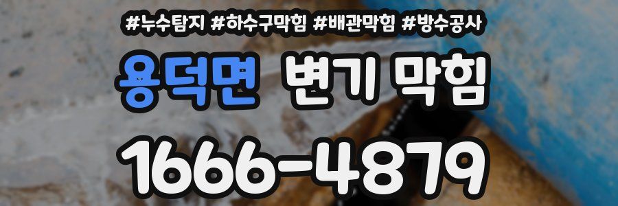 용덕면 변기 막힘