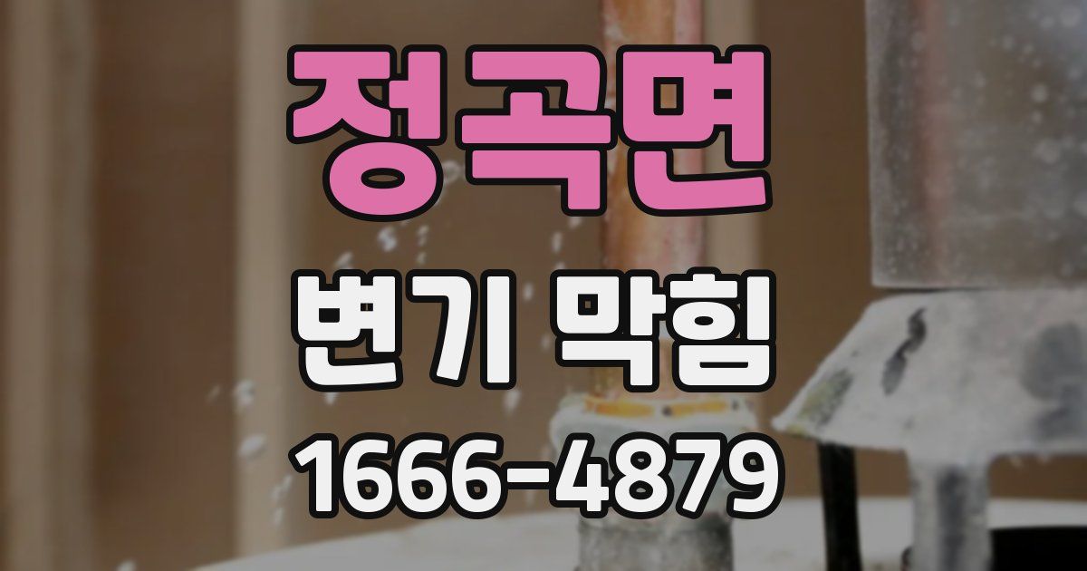 정곡면 변기 막힘