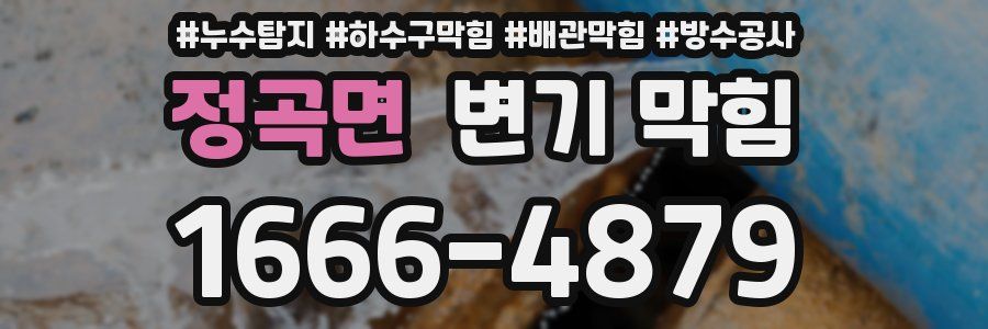 정곡면 변기 막힘