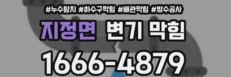 지정면 변기 막힘