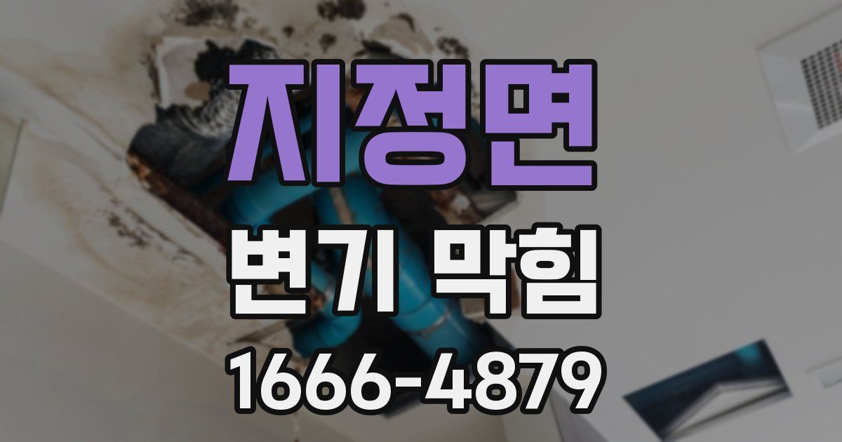 지정면 변기 막힘