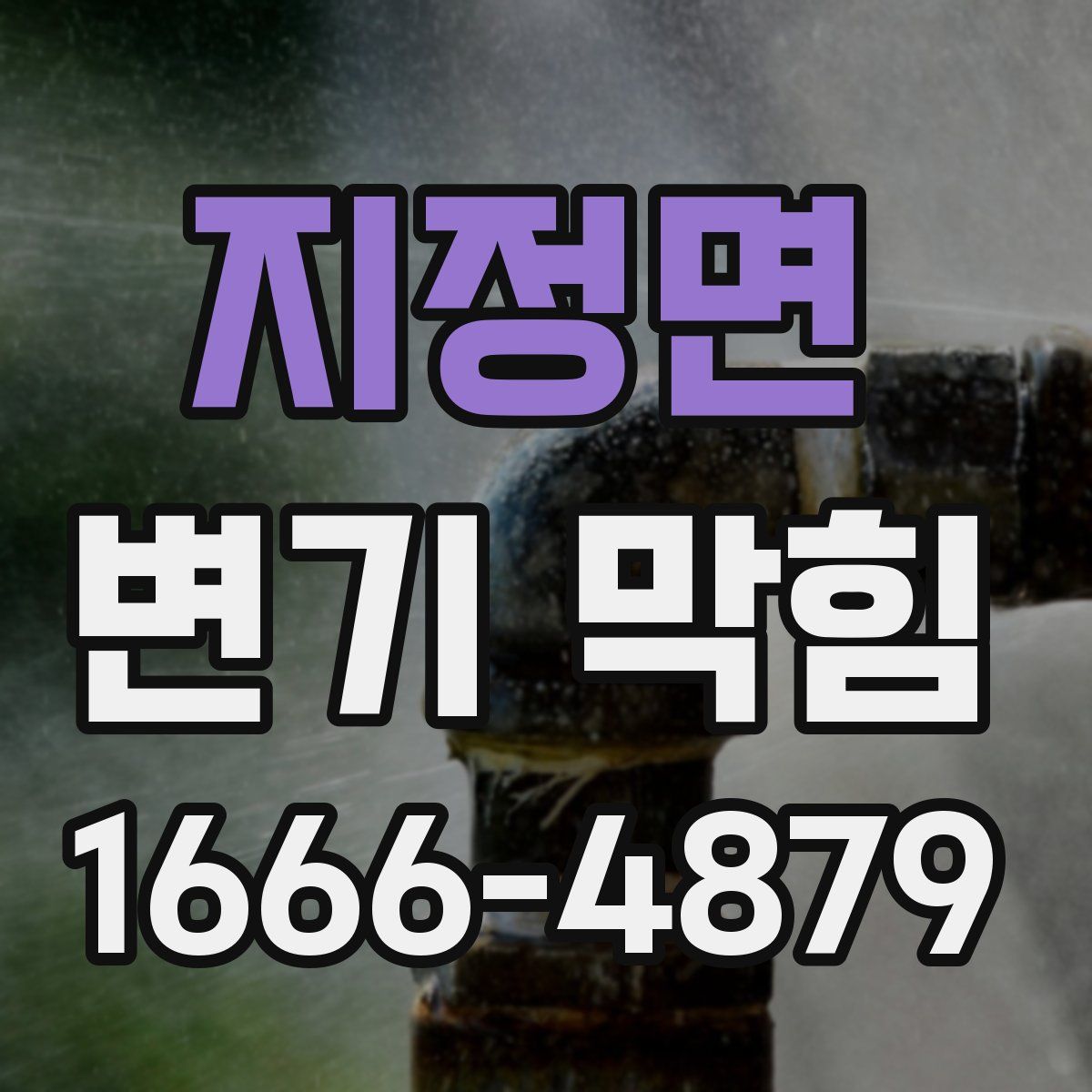 지정면 변기 막힘