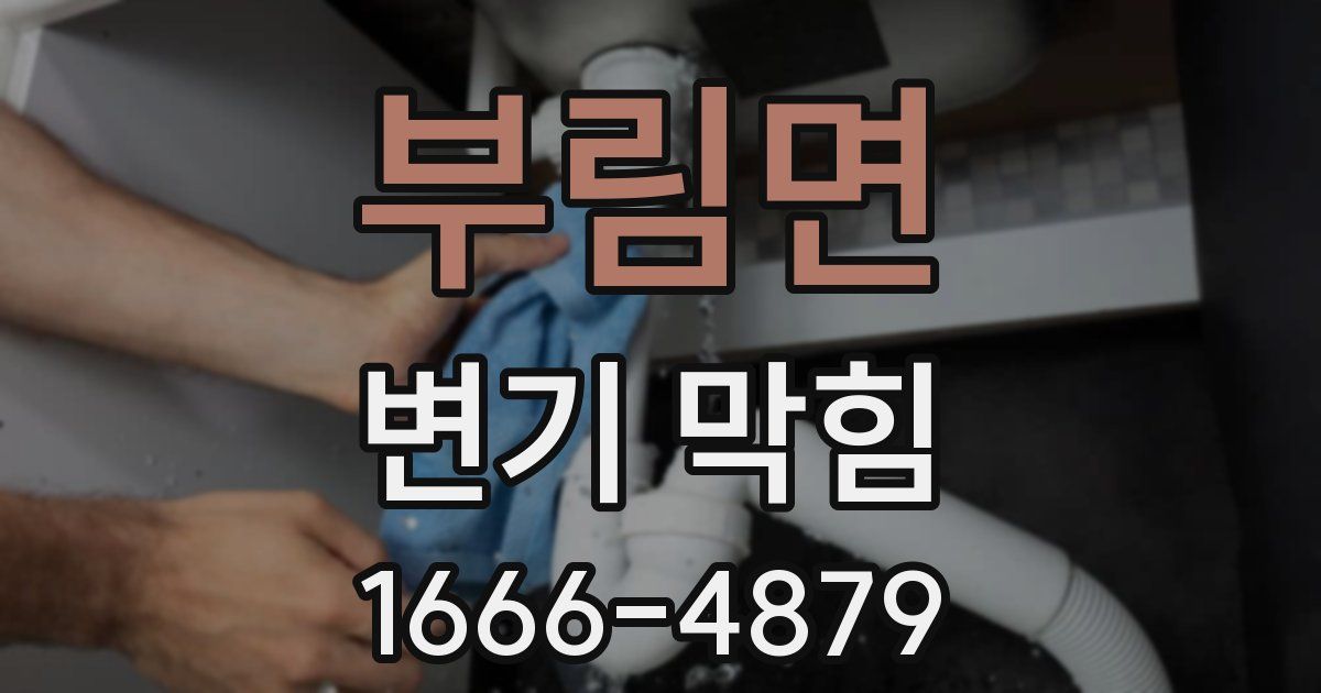 부림면 변기 막힘