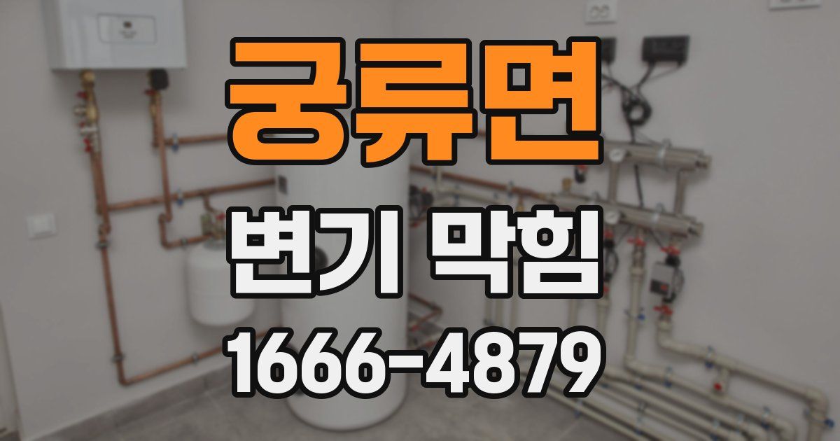 궁류면 변기 막힘