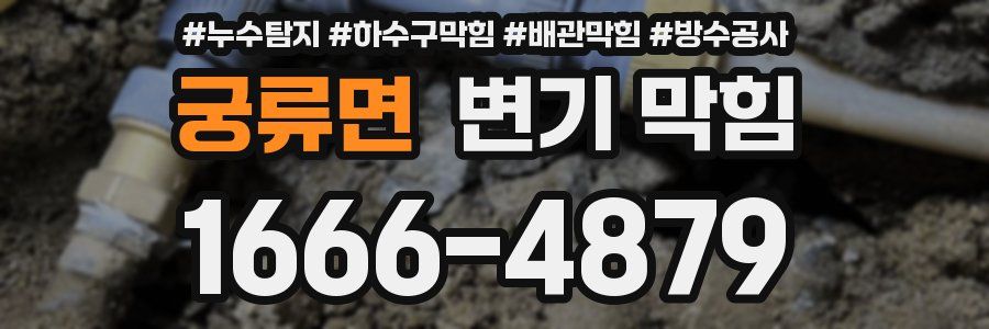 궁류면 변기 막힘
