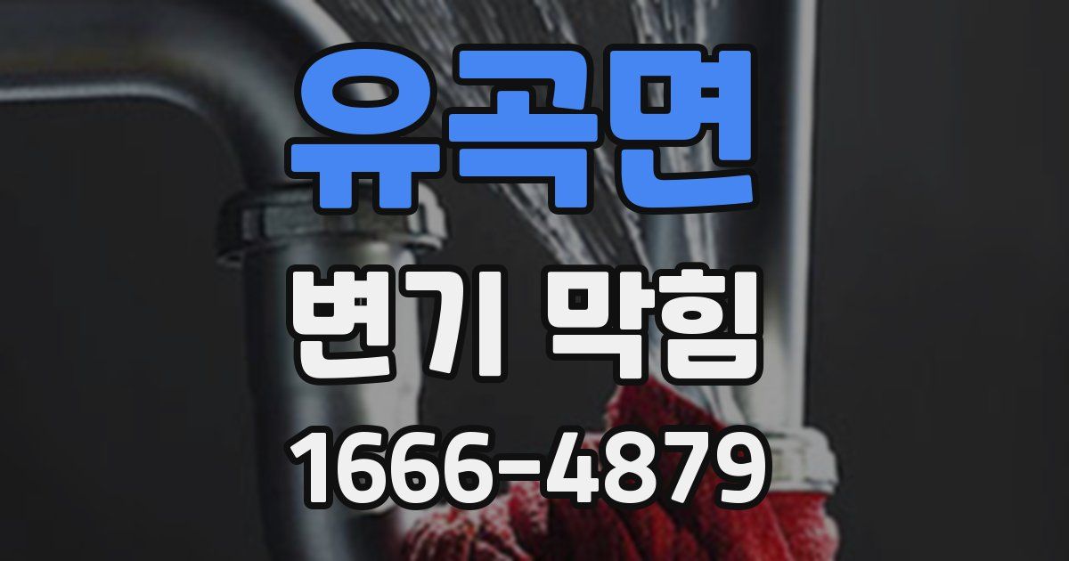 유곡면 변기 막힘