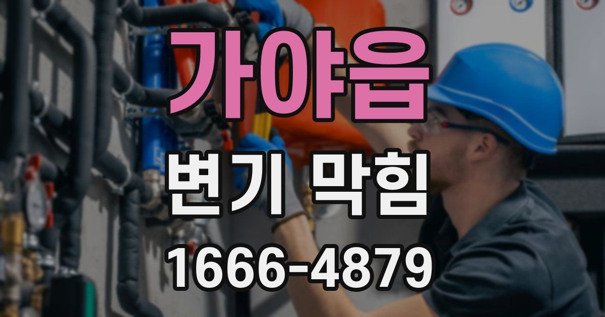 가야읍 변기 막힘