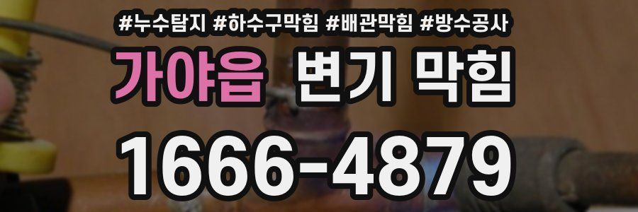 가야읍 변기 막힘