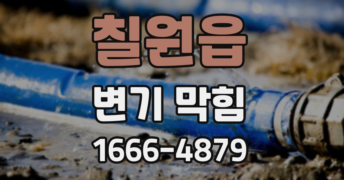 칠원읍 변기 막힘
