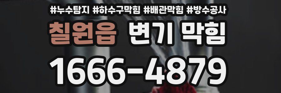 칠원읍 변기 막힘