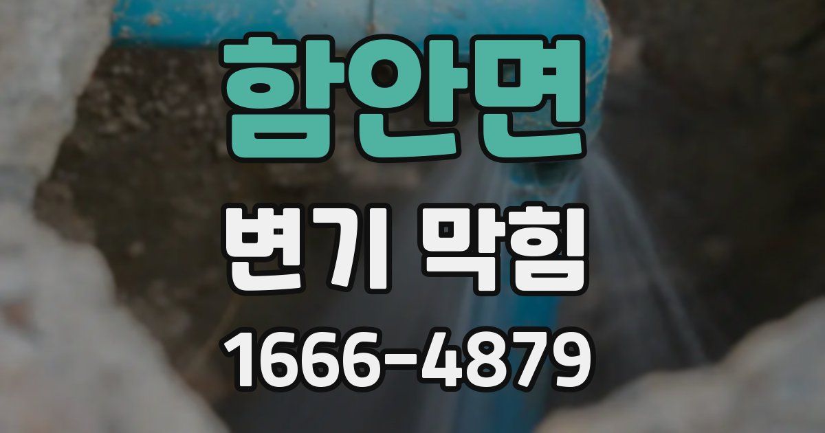 함안면 변기 막힘