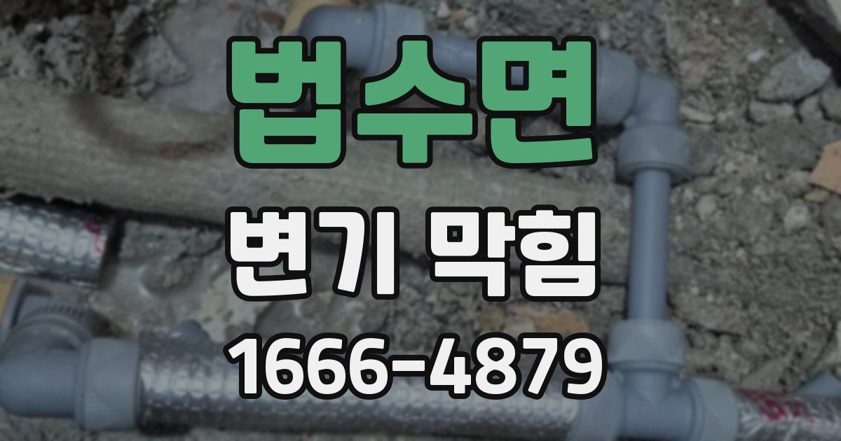 법수면 변기 막힘