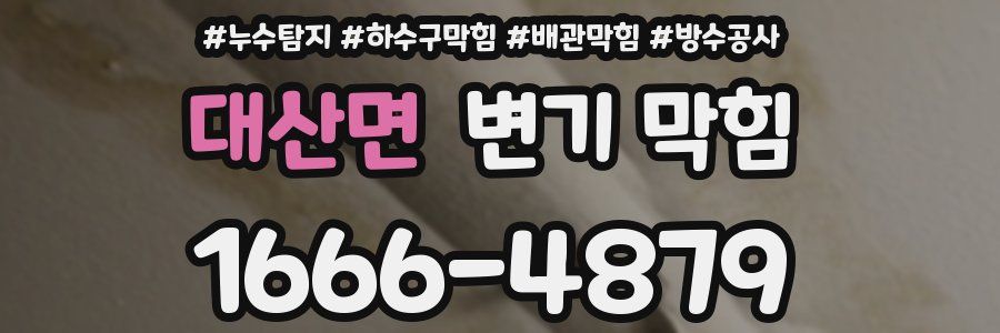 대산면 변기 막힘