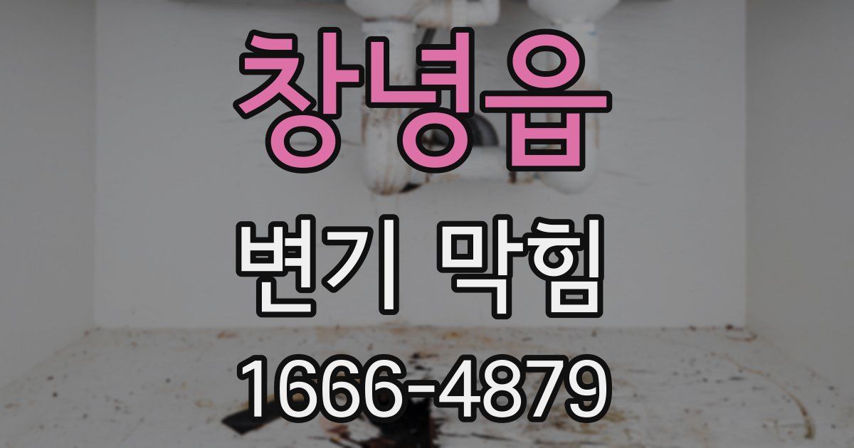 창녕읍 변기 막힘