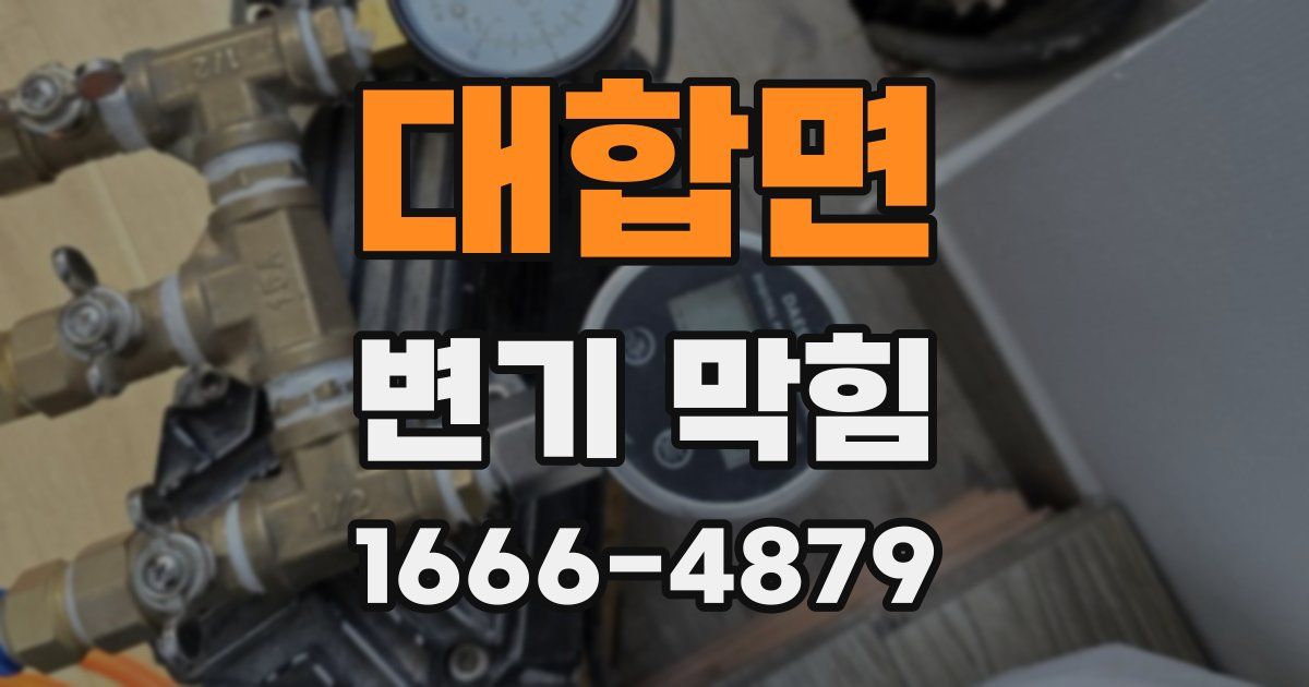 대합면 변기 막힘